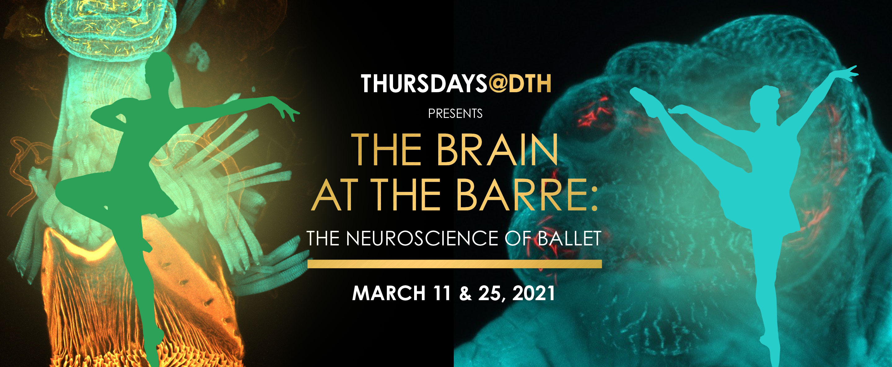 Dance Theatre of Harlem