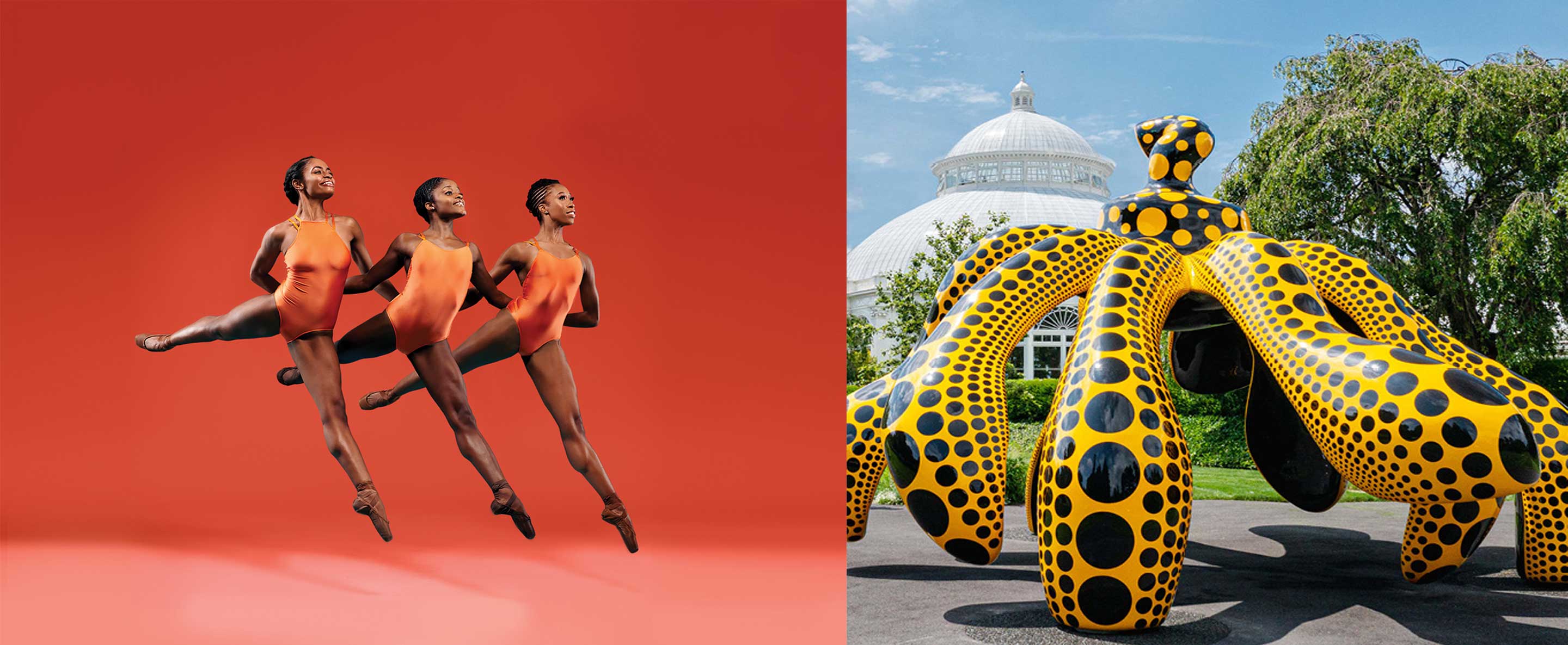 Dance Theatre of Harlem