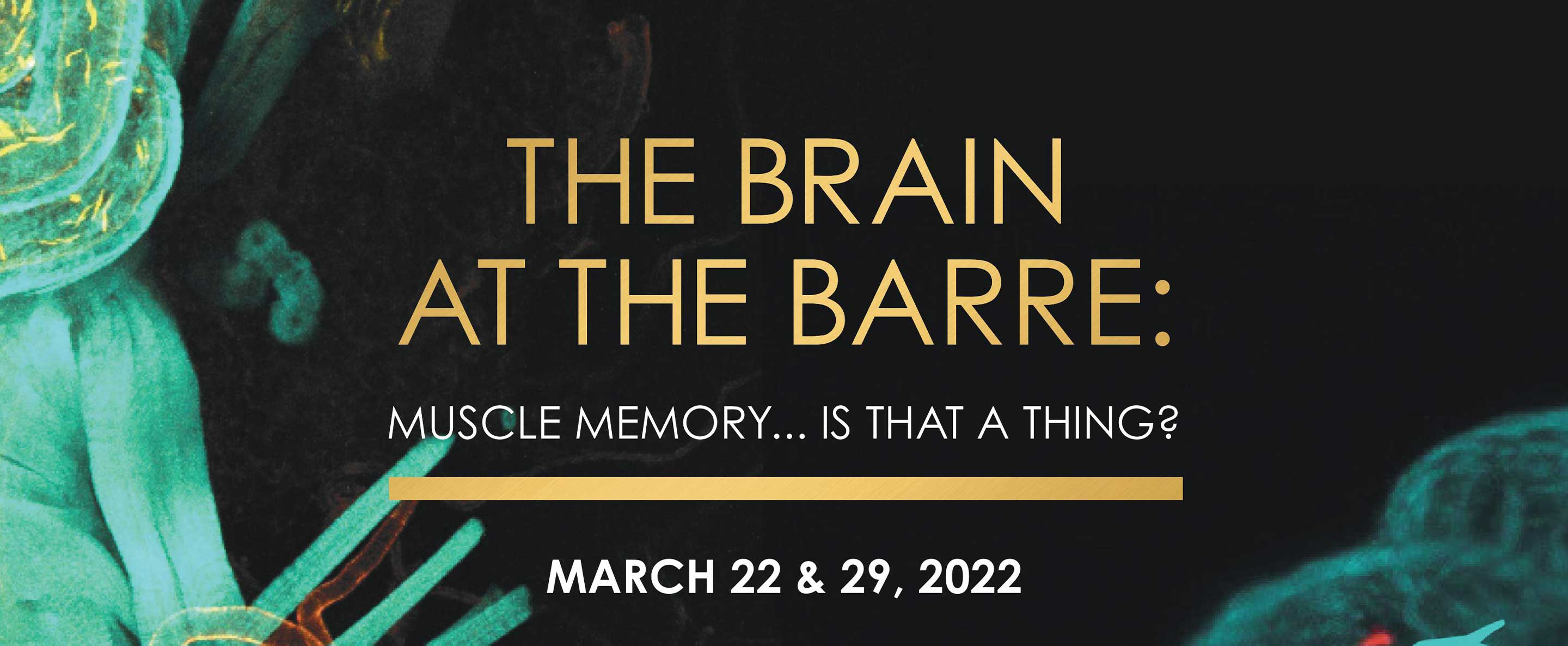 Dance Theatre of Harlem